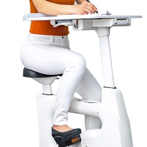 Flexispot Desk Bike