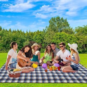 Extra Large Picnic Blanket (80" x 80")